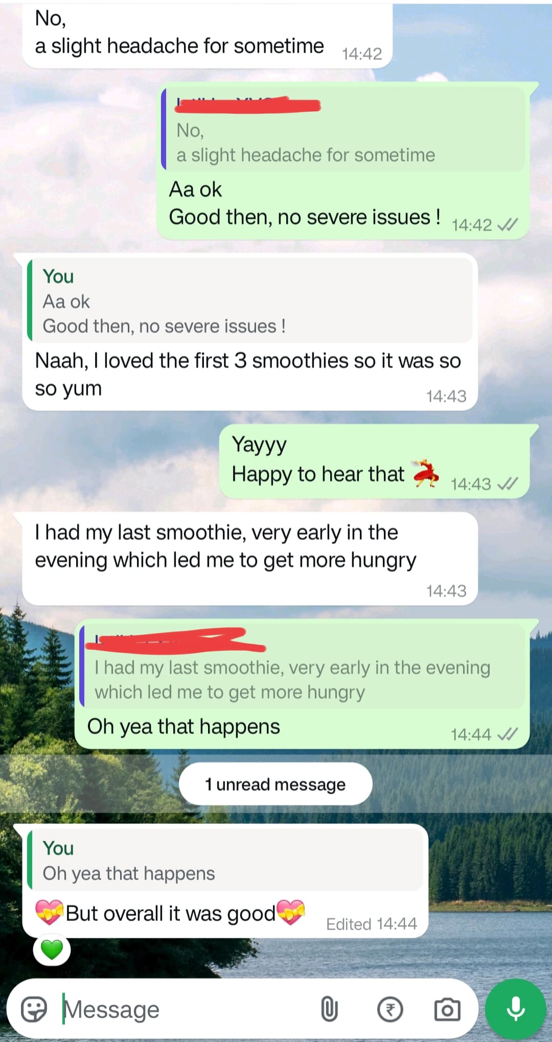 Client conversation screenshot